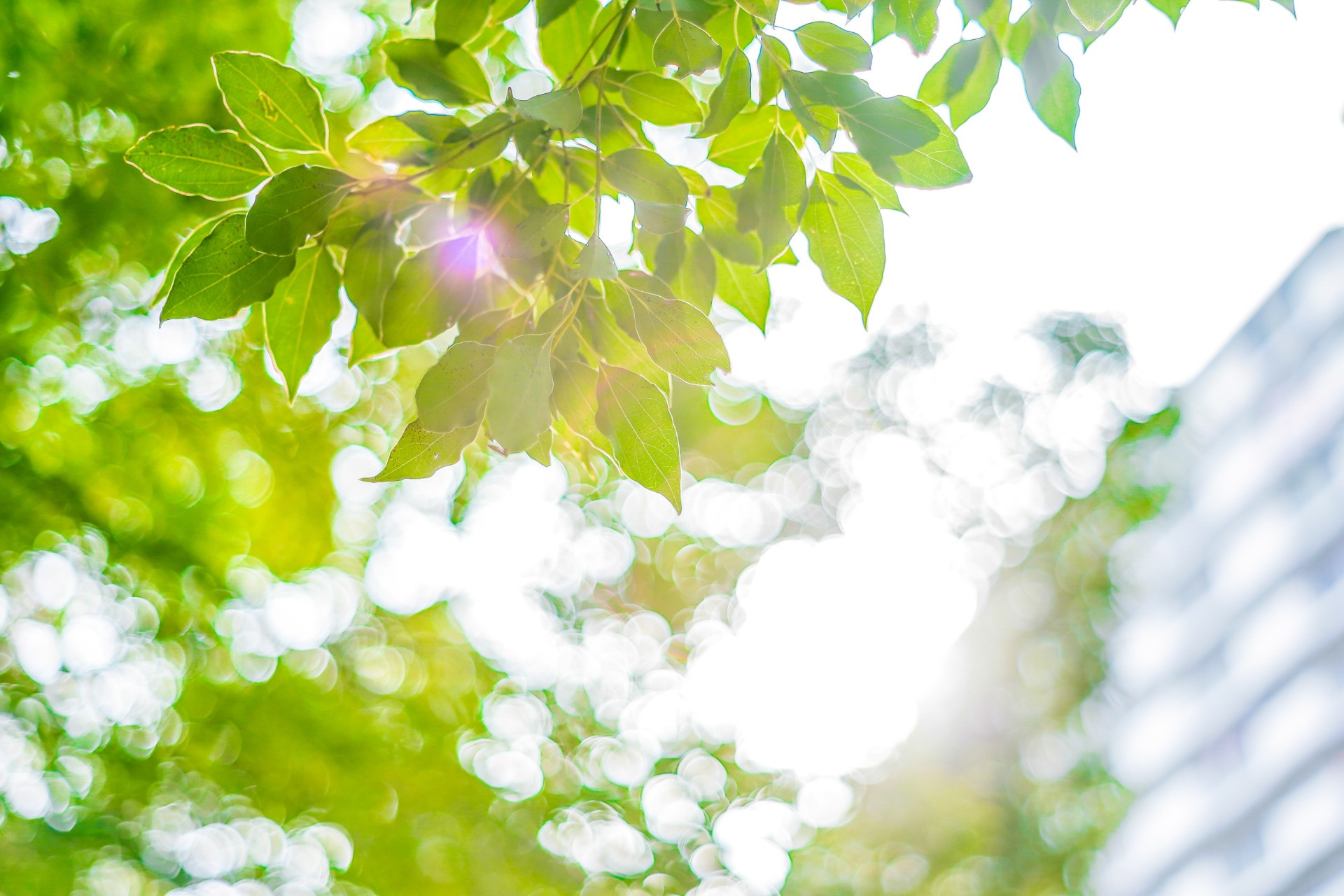 株式会社ケアフィールド